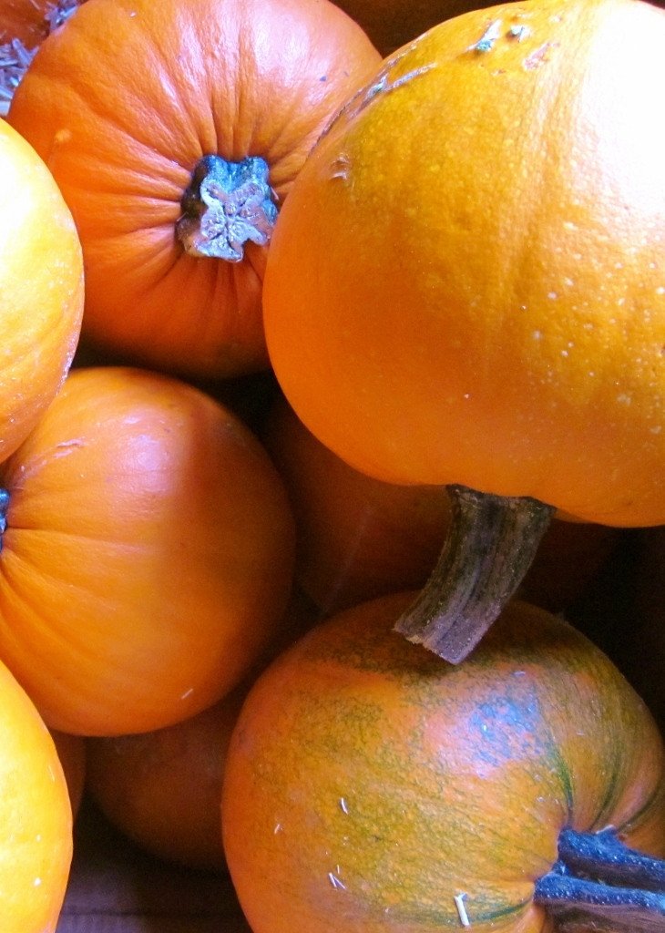 Pumpkins Chicago Iron Sides