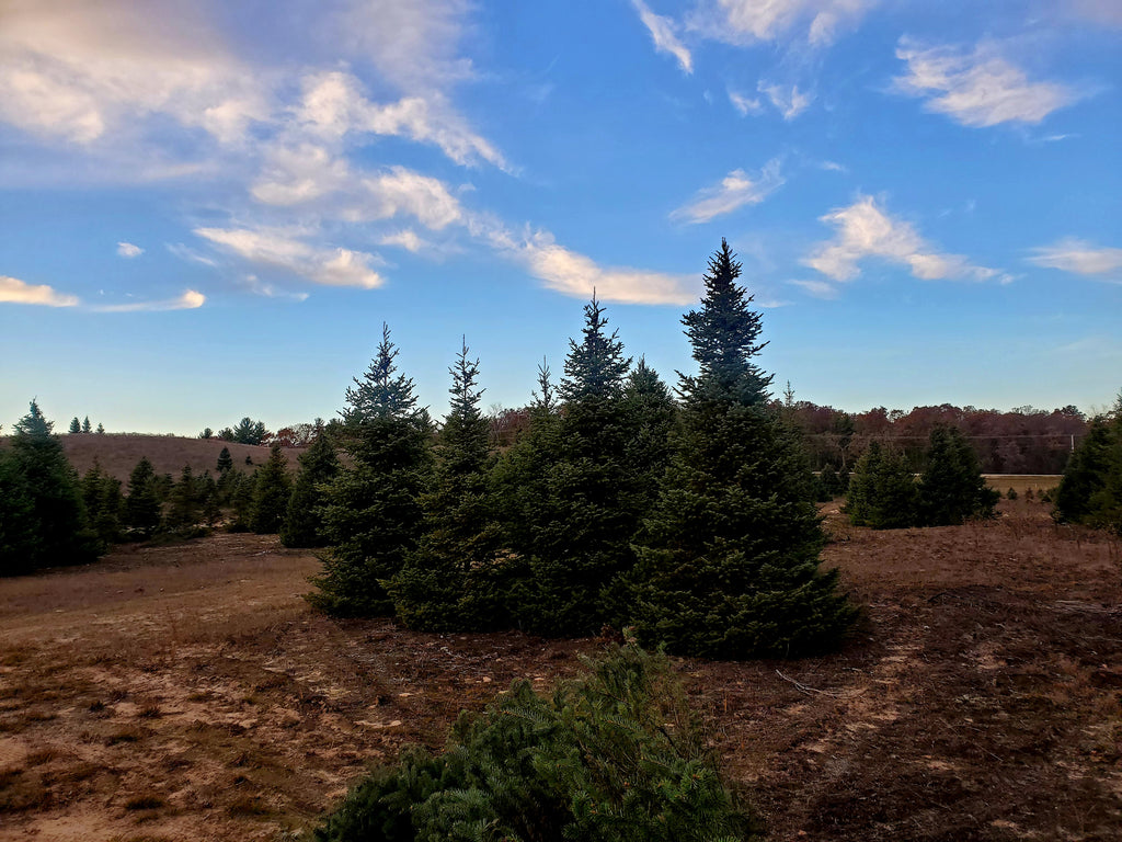 The Christmas Quick Fix Bundle!