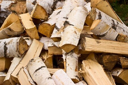Firewood Chicago - White Birch *Seasonal*