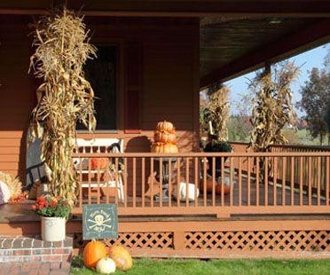 Pumpkins Chicago Corn Stalks